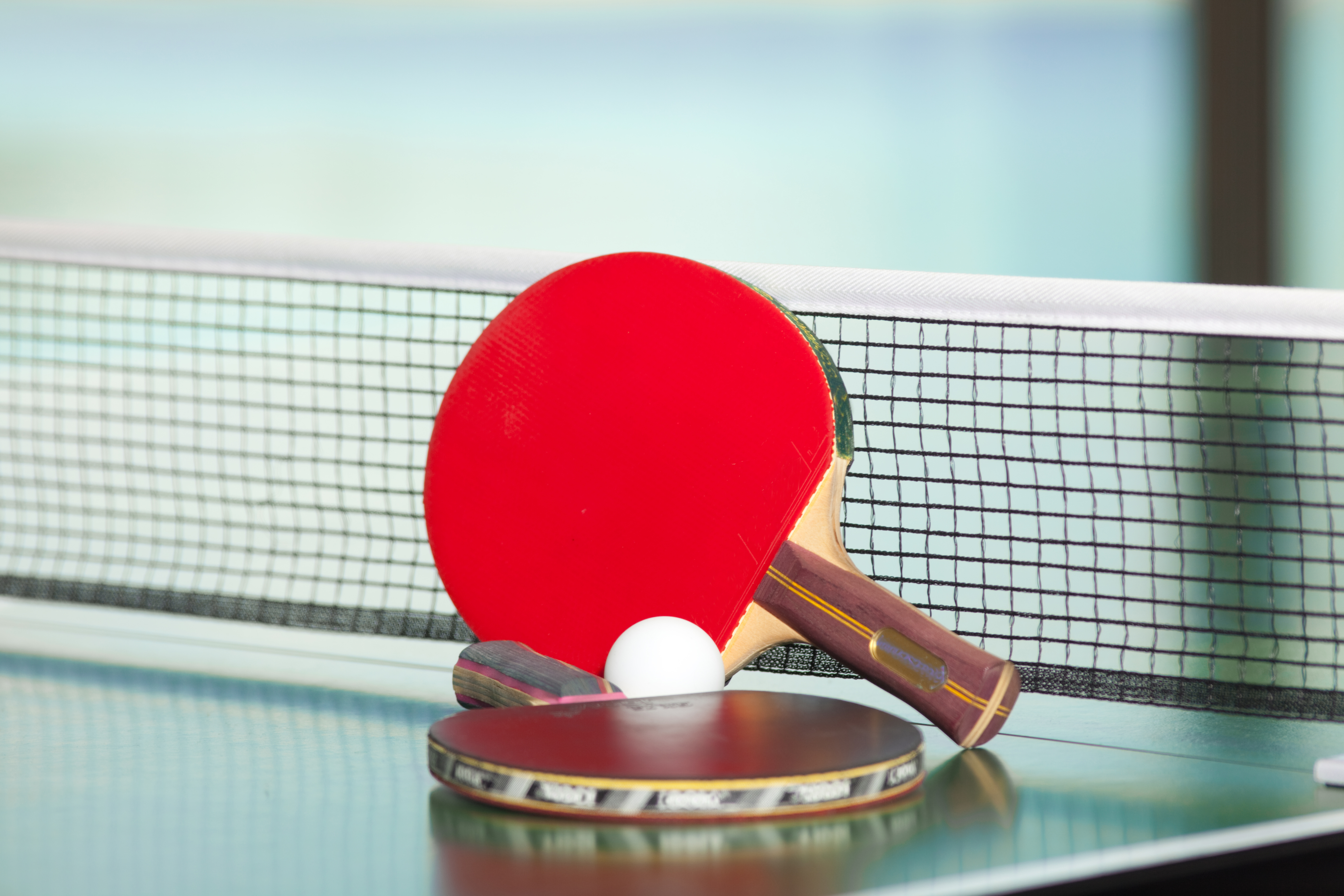 ping pong evo montreal