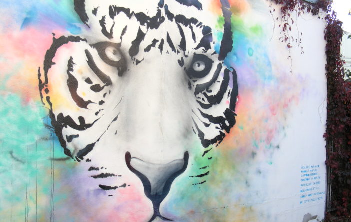 40 Incredible Montreal Murals That Left Their Mark on the City