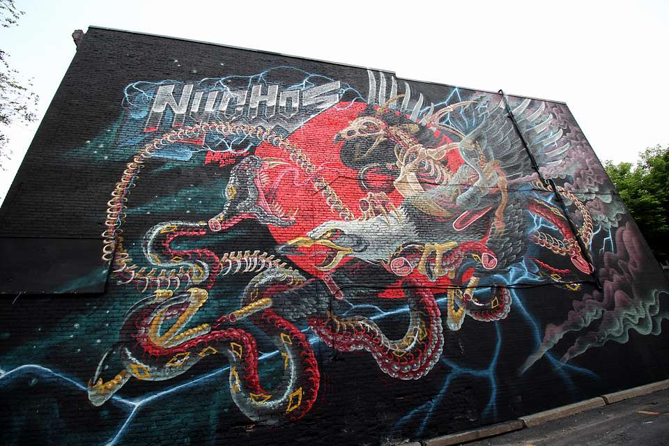 1-Nychos