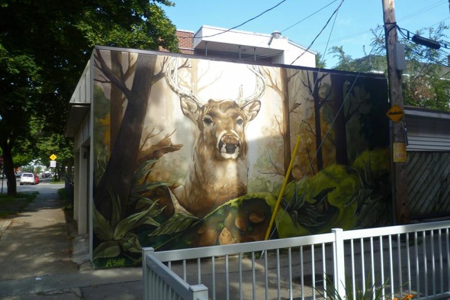ruelle-650x433