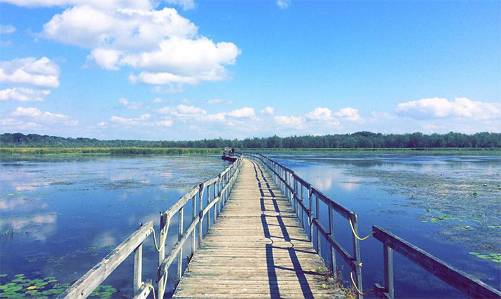 oceanee88 parc d'oka